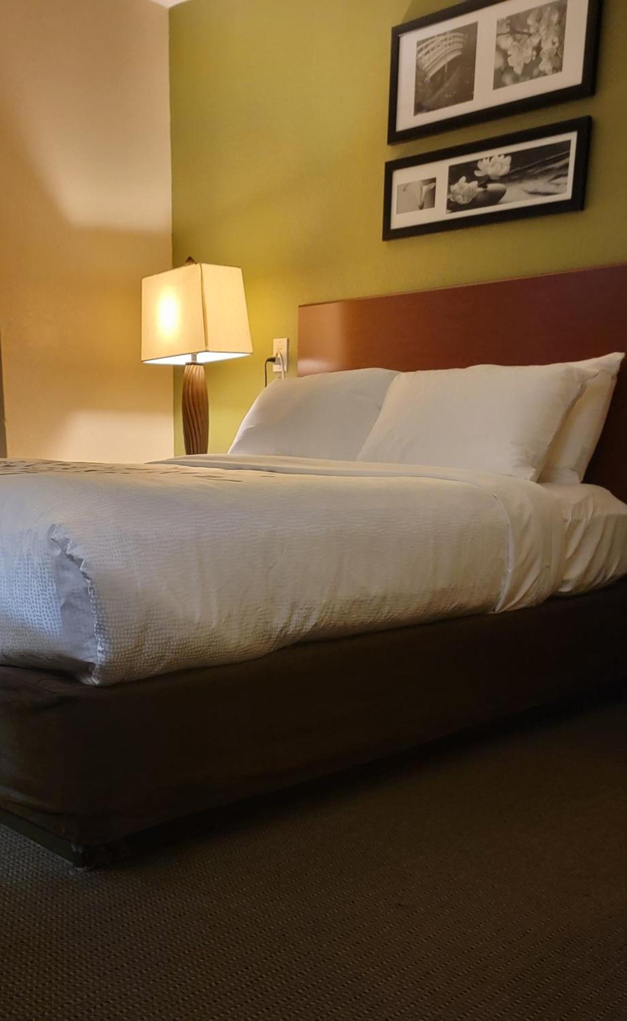 Sleep Inn Near Ft Jackson Columbia Esterno foto